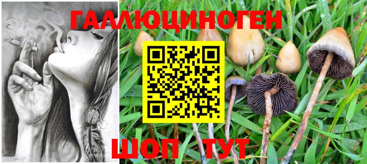 Галлюциногенные грибы GOLDEN TEACHER Ханты-Мансийск